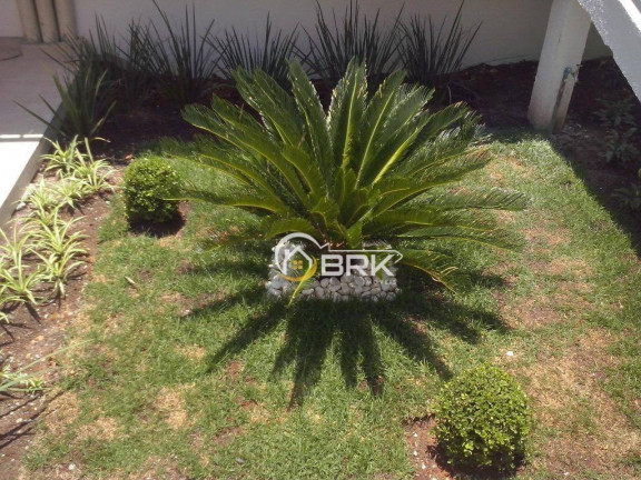 Imagem Apartamento com 2 Quartos à Venda, 45 m² em Parada Xv De Novembro - São Paulo Imagem Apartamento com 2 Quartos à Venda, 45 m² em Parada Xv De Novembro - São Paulo