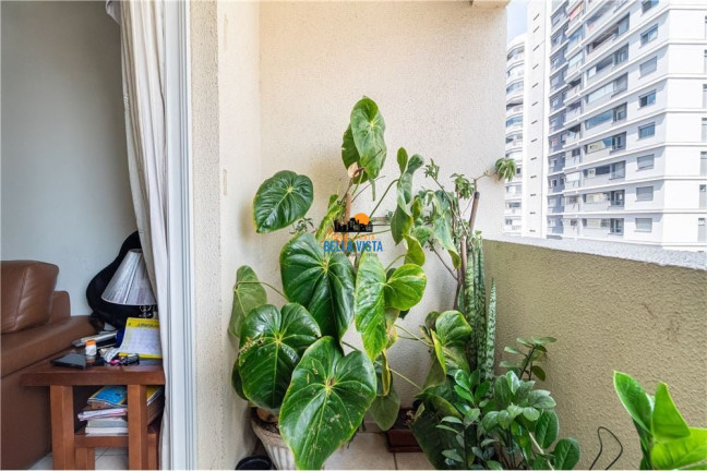 Imagem Apartamento com 2 Quartos à Venda, em Jabaquara - São Paulo Imagem Apartamento com 2 Quartos à Venda, em Jabaquara - São Paulo