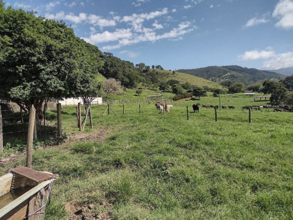 Imagem Fazenda à Venda, 100 m² em Zona Rural - Itamonte