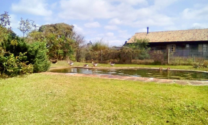 Imagem Fazenda à Venda, 30.000 m² em águas Claras - Viamão Imagem Fazenda à Venda, 30.000 m² em águas Claras - Viamão
