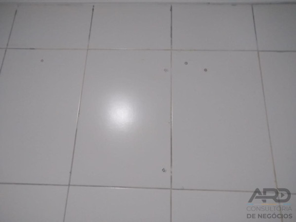 Imagem Apartamento com 1 Quarto para Alugar, 33 m² em Pq Do Carmo - Jardim Santa Terezinha - São Paulo