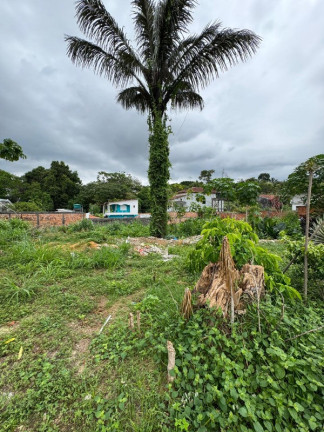 Imagem Terreno à Venda, 360 m² em Novo Aleixo - Manaus Imagem Terreno à Venda, 360 m² em Novo Aleixo - Manaus