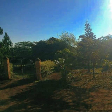 Imagem Chácara com 2 Quartos à Venda, 20.000 m² em Passa Três - Cesário Lange Imagem Chácara com 2 Quartos à Venda, 20.000 m² em Passa Três - Cesário Lange