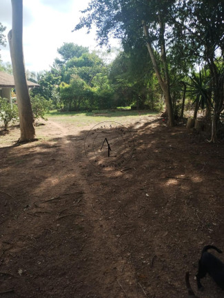 Imagem Chácara com 3 Quartos à Venda, 1.200 m² em Jardim Monte Belo - Campinas