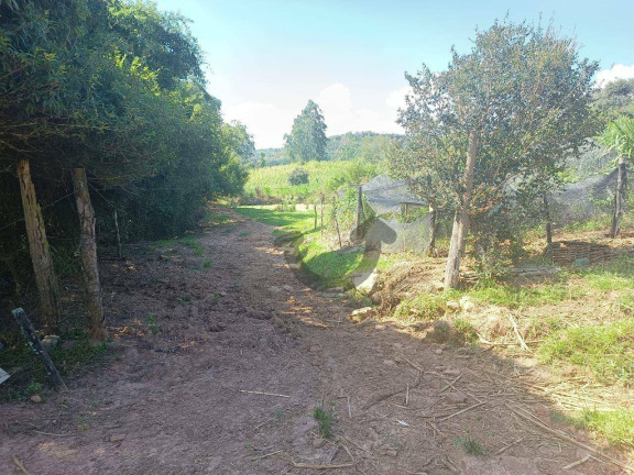 Imagem Chácara à Venda, 110 m² em Linha Travessa - Santa Cruz Do Sul Imagem Chácara à Venda, 110 m² em Linha Travessa - Santa Cruz Do Sul