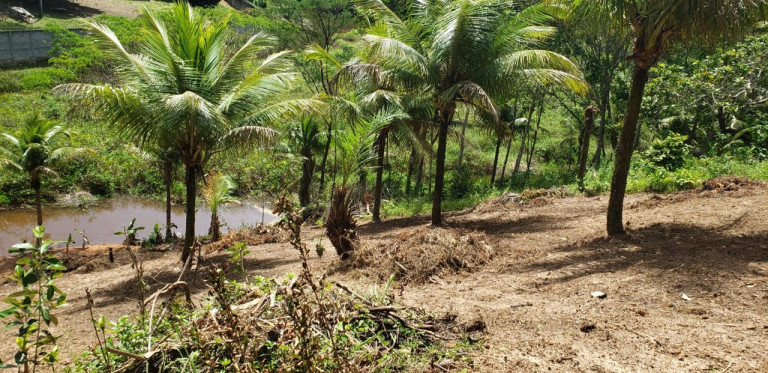 Imóvel à Venda, 12.000 m² em Zona Rural - Camaçari