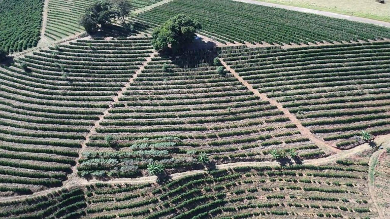 Imagem Fazenda à Venda, 31 m² em Poços De Caldas Imagem Fazenda à Venda, 31 m² em Poços De Caldas