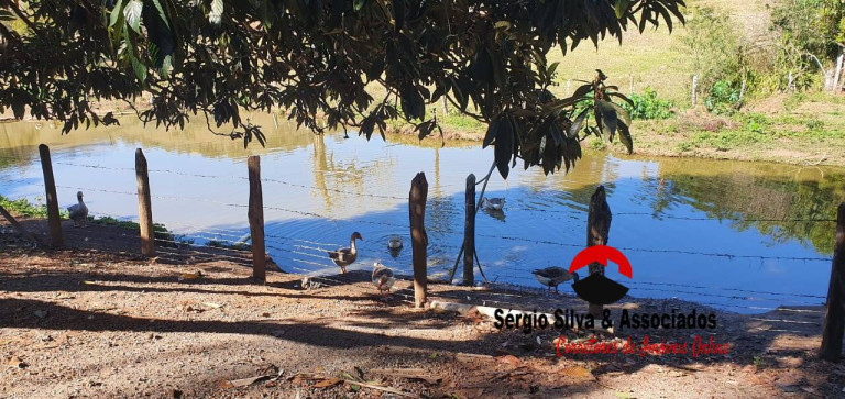 Imagem Chácara com 2 Quartos à Venda, 10 m² em Campos Do Jordão Imagem Chácara com 2 Quartos à Venda, 10 m² em Campos Do Jordão