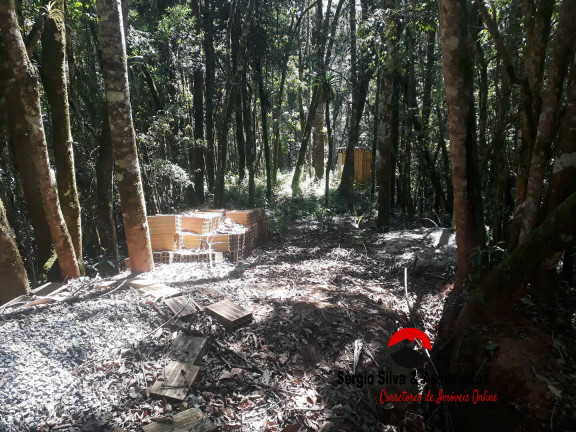 Imagem Terreno à Venda, 1 m² em Campos Do Jordão Imagem Terreno à Venda, 1 m² em Campos Do Jordão