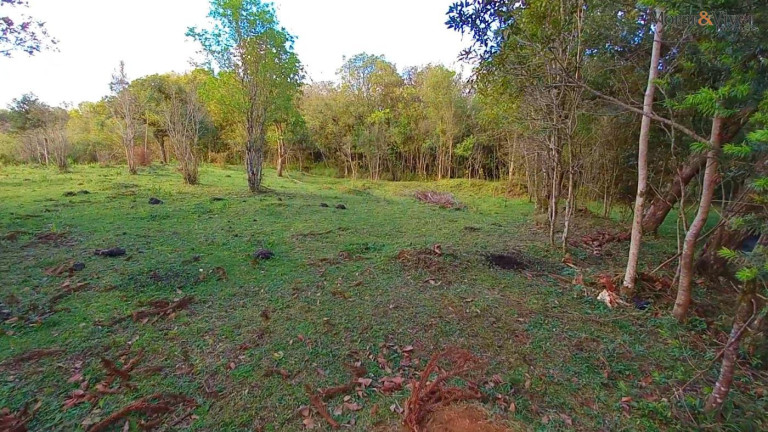 Imagem Chácara à Venda, 32.800 m² em Ambrósio - Tijucas Do Sul
