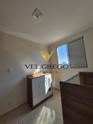 Imagem Apartamento com 3 Quartos à Venda, 59 m² em Paulicéia - São Bernardo Do Campo
