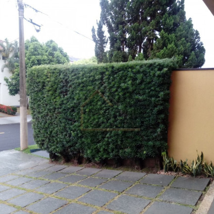 Imagem Casa de Condomínio com 4 Quartos para Alugar, 268 m² em Bonfim Paulista - Ribeirão Preto Imagem Casa de Condomínio com 4 Quartos para Alugar, 268 m² em Bonfim Paulista - Ribeirão Preto