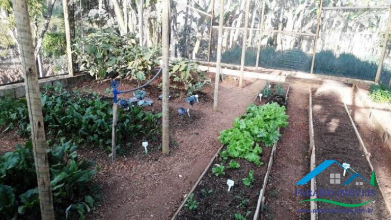 Imagem Chácara com 5 Quartos à Venda, 22 m² em Centro - Gonçalves