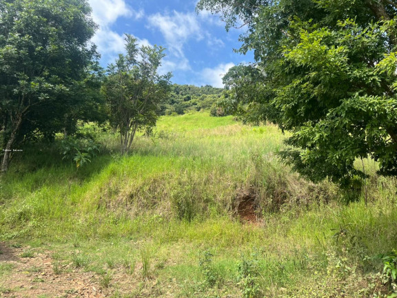 Imagem Terreno à Venda, 56.379 m² em Sc 155 - Itá Imagem Terreno à Venda, 56.379 m² em Sc 155 - Itá