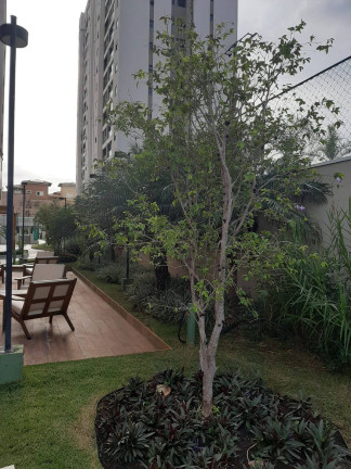 Imagem Apartamento com 3 Quartos à Venda, em Jardim Tarraf Ii - São José Do Rio Preto Imagem Apartamento com 3 Quartos à Venda, em Jardim Tarraf Ii - São José Do Rio Preto