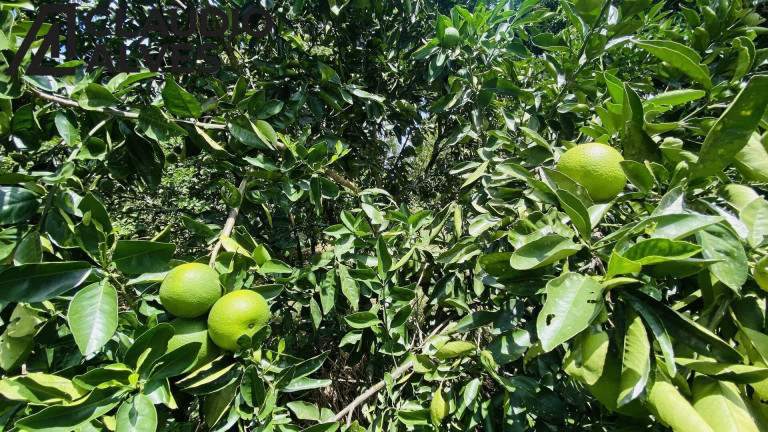 Imagem Terreno à Venda, 2 m² em Chaparral - Feira De Santana