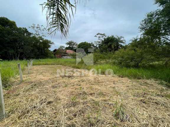Imagem Terreno à Venda,  em Praia Do Estaleiro - Balneario Camboriu