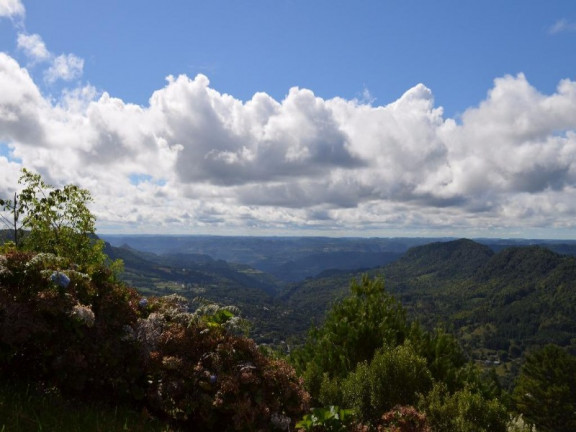 Imagem Terreno à Venda, 800 m² em Vale Dos Pinheiros - Gramado Imagem Terreno à Venda, 800 m² em Vale Dos Pinheiros - Gramado