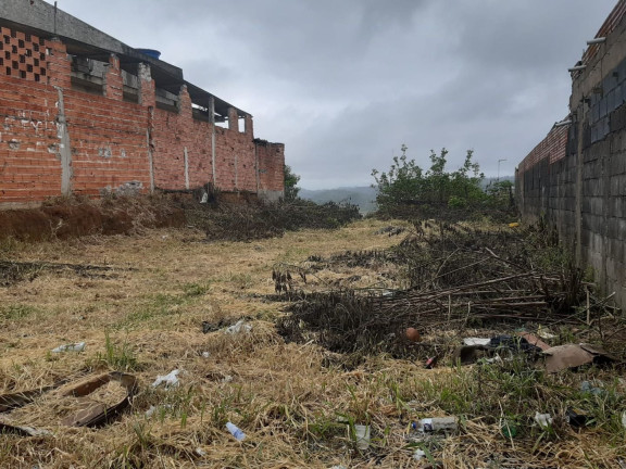 Imagem Terreno à Venda, 250 m² em Jardim São Miguel - Cotia