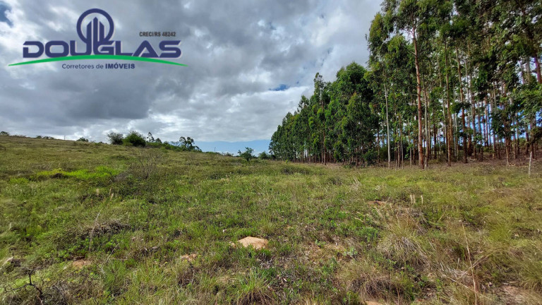 Imagem Chácara à Venda, 20.000 m² em águas Claras - Viamão