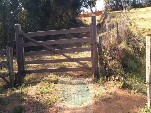Imagem Imóvel com 4 Quartos à Venda, 540.628 m² em Zona Rural - Biguatinga