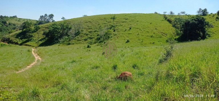Imagem Chácara à Venda, 63.000 m² em Centro - Santa Branca Imagem Chácara à Venda, 63.000 m² em Centro - Santa Branca