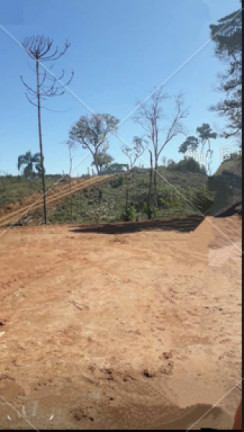 Imagem Imóvel à Venda, 3.000 m² em Jardim Da Colina - Campina Grande Do Sul Imagem Imóvel à Venda, 3.000 m² em Jardim Da Colina - Campina Grande Do Sul