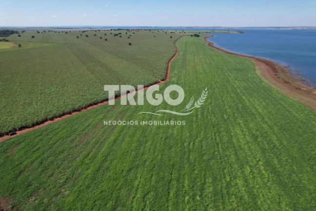 Imagem Fazenda à Venda, 629 m² em Zona Rural - Quirinópolis Imagem Fazenda à Venda, 629 m² em Zona Rural - Quirinópolis