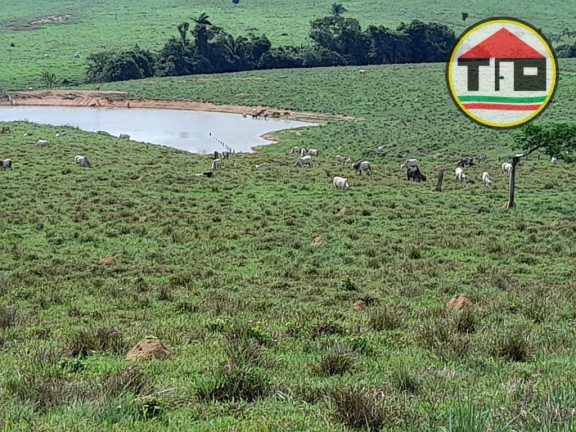 Imagem Fazenda à Venda, 51.304.000 m² em Zona Rural - Itupiranga Imagem Fazenda à Venda, 51.304.000 m² em Zona Rural - Itupiranga