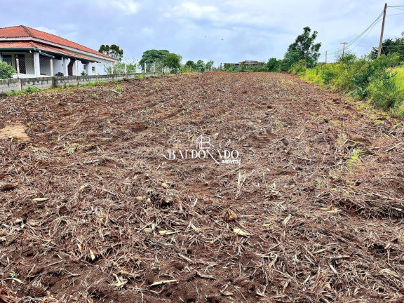 Imagem Terreno à Venda, 1.800 m² em Centro - Toledo Imagem Terreno à Venda, 1.800 m² em Centro - Toledo