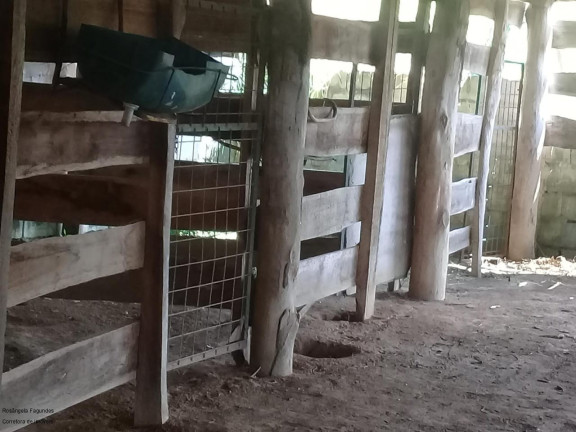 Imagem Imóvel com 1 Quarto à Venda, 12 m² em Zona Rural De Caldas - Caldas Imagem Imóvel com 1 Quarto à Venda, 12 m² em Zona Rural De Caldas - Caldas