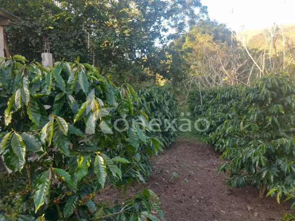 Imagem Chácara com 3 Quartos à Venda, 250 m² em Rio De Peixe - São José Dos Campos Imagem Chácara com 3 Quartos à Venda, 250 m² em Rio De Peixe - São José Dos Campos