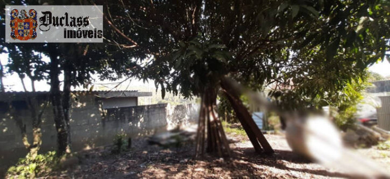 Imagem Chácara com 1 Quarto à Venda, 70 m² em Terra Preta (terra Preta) - Mairiporã Imagem Chácara com 1 Quarto à Venda, 70 m² em Terra Preta (terra Preta) - Mairiporã