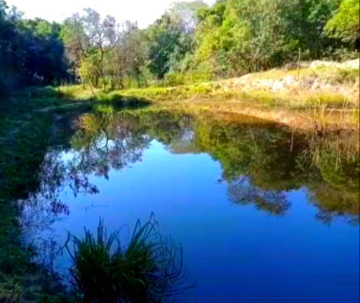 Imagem Chácara com 5 Quartos à Venda, 24.000 m² em Congonhas - Sarapuí Imagem Chácara com 5 Quartos à Venda, 24.000 m² em Congonhas - Sarapuí