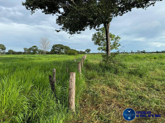 Imagem Fazenda à Venda, 117 m² em Zona Rural - Jussara Imagem Fazenda à Venda, 117 m² em Zona Rural - Jussara