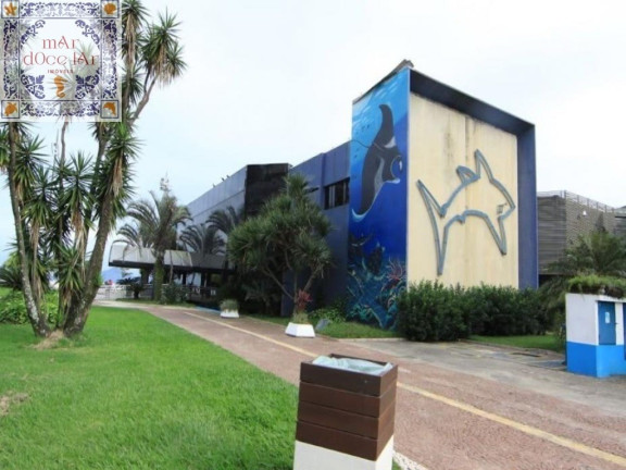 Imagem Apartamento com 1 Quarto à Venda, 42 m² em Ponta Da Praia - Santos