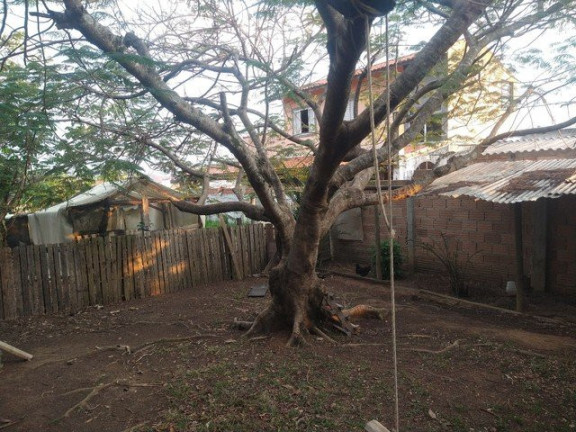 Imagem Fazenda à Venda, 3.000 m² em Jardim Santa Luzia - Guaratinguetá