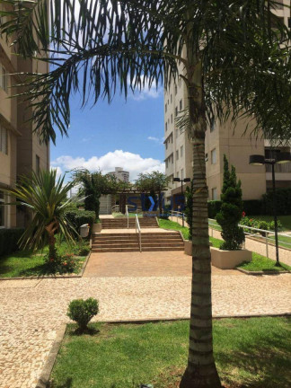 Imagem Apartamento com 3 Quartos à Venda ou Locação, 63 m² em Ponte Grande - Guarulhos Imagem Apartamento com 3 Quartos à Venda ou Locação, 63 m² em Ponte Grande - Guarulhos