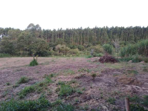 Imagem Chácara com 3 Quartos à Venda, 24 m² em Aparecida - Araçoiaba Da Serra Imagem Chácara com 3 Quartos à Venda, 24 m² em Aparecida - Araçoiaba Da Serra