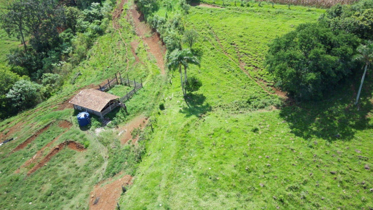 Imagem Terreno à Venda, 101.000 m² em Rodovia - Arabuta Imagem Terreno à Venda, 101.000 m² em Rodovia - Arabuta