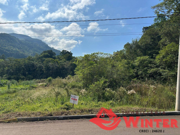 Imagem Terreno à Venda, em Linha Neis - São Vendelino Imagem Terreno à Venda, em Linha Neis - São Vendelino