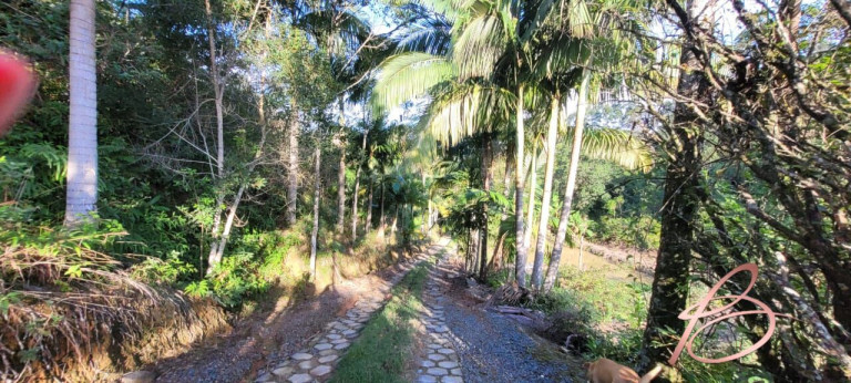 Imagem Imóvel com 2 Quartos à Venda, 40.000 m² em Ilhota - Ilhota