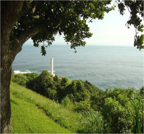 Imagem Terreno à Venda, 2.555 m² em Ponta Negra - Maricá