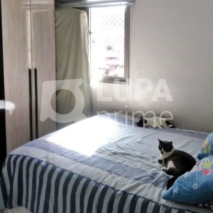 Imagem Apartamento com 2 Quartos à Venda, 63 m² em Tucuruvi - São Paulo Imagem Apartamento com 2 Quartos à Venda, 63 m² em Tucuruvi - São Paulo