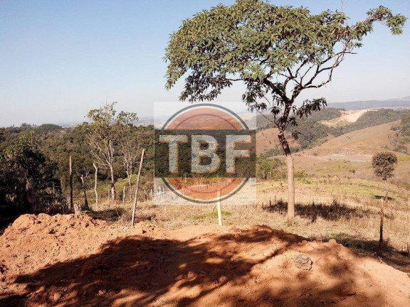Imagem Terreno à Venda, 5.000 m² em Parateí - Santa Isabel