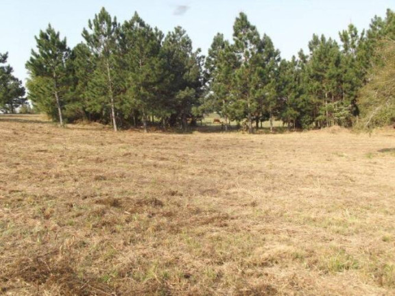Imagem Terreno à Venda, 80.000 m² em águas Claras - Viamão