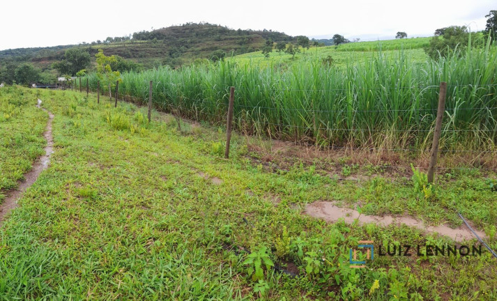 Imagem Imóvel com 3 Quartos à Venda, 820.000 m² em Centro - Varjão De Minas Imagem Imóvel com 3 Quartos à Venda, 820.000 m² em Centro - Varjão De Minas
