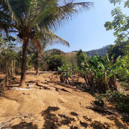 Imagem Chácara à Venda, 6.000 m² Imagem Chácara à Venda, 6.000 m²