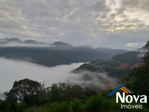 Imagem Imóvel à Venda, 31.701 m² em Linha Pirajá Baixa - Nova Petrópolis Imagem Imóvel à Venda, 31.701 m² em Linha Pirajá Baixa - Nova Petrópolis