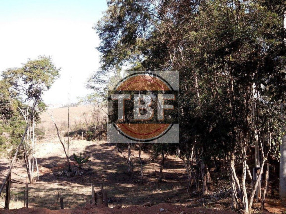 Imagem Terreno à Venda, 5.000 m² em Parateí - Santa Isabel